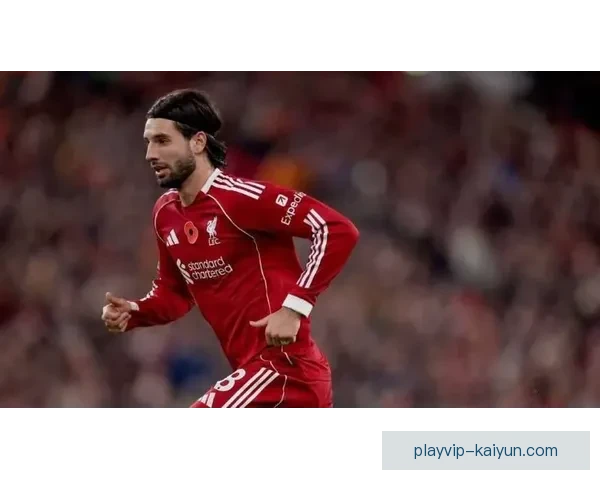 索博斯洛伊英超适应